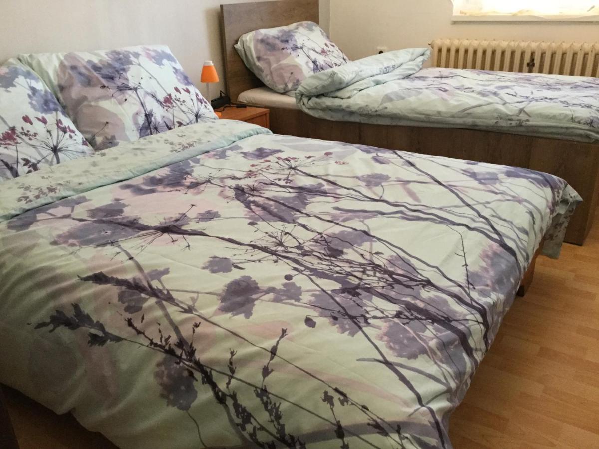 Lydiavi Apartment Vysoké Mýto Cameră foto